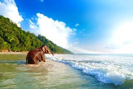 You are currently viewing Andaman Nicobar Island